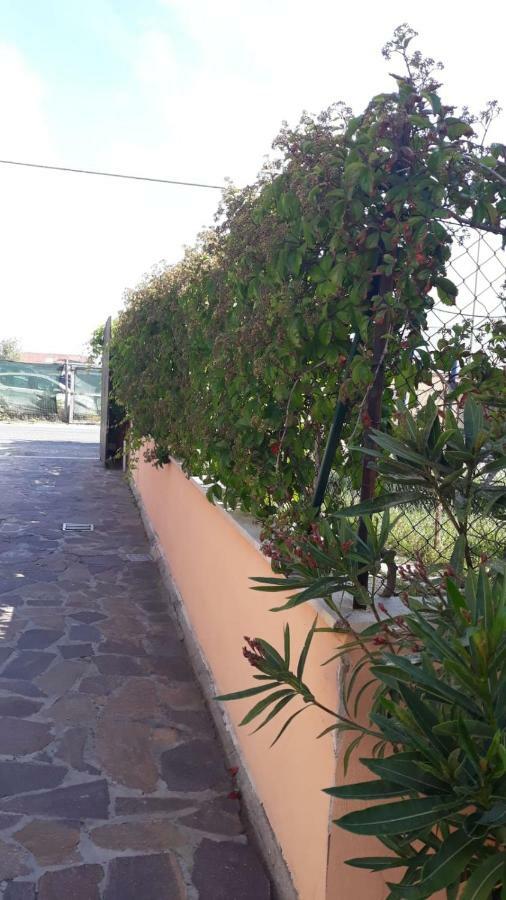 B&B Fiumicino Airport Resort Exterior foto