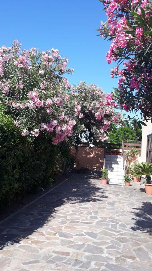 B&B Fiumicino Airport Resort Exterior foto
